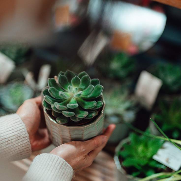 Explore your investment choices